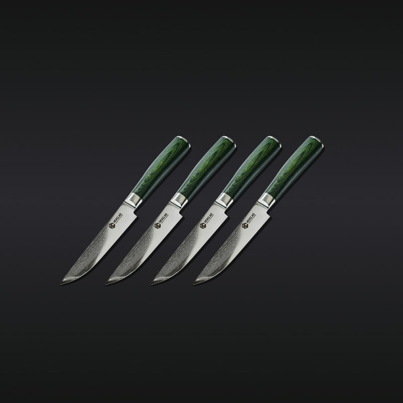 Steak Knife & Bistecca Plate Set, 16-pc (Green) - Image 3